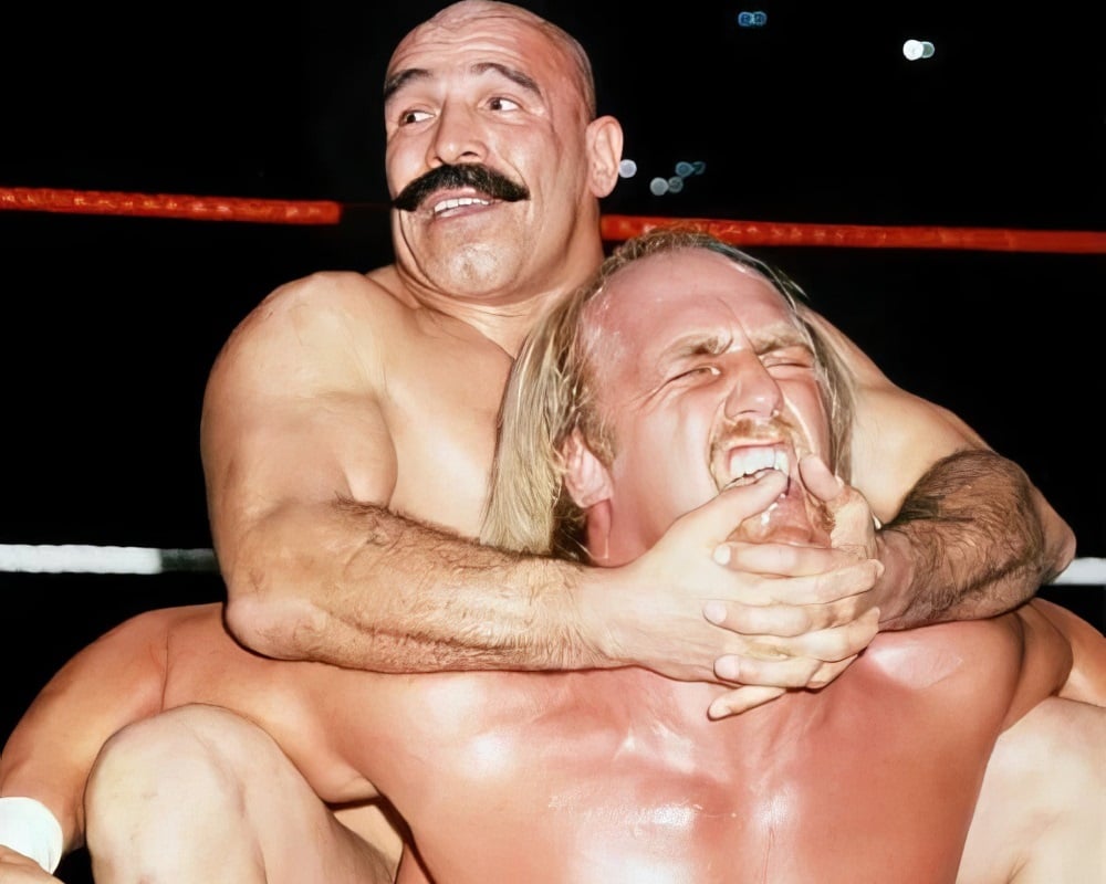 Hulk Hogan Iron Sheik