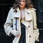 Amy Adams flashes her underwear
