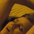 Amy Adams sex scene from American Hustle