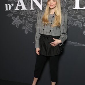 Amanda Seyfried, photo 5