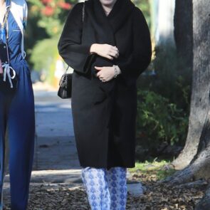 Amy Adams - Heading to New Years Day Party in LA 01/01/2020