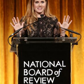 Amy Adams - National Board of Review Awards Gala Show, NYC 02/04/ 2017
