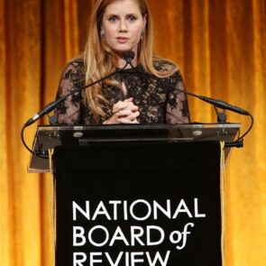 Amy Adams - National Board of Review Awards Gala Show, NYC 02/04/ 2017, photo 2
