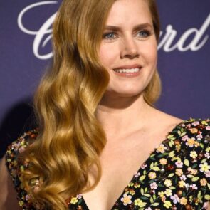 Amy Adams - Palm Springs International Film Festival Awards Gala 1/2/ 2017, photo 2