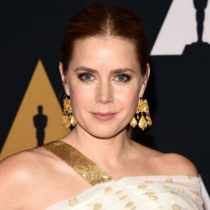 Amy Adams - The Governors Awards 2016 in Hollywood, photo 2