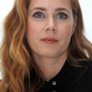Amy Adams - 'Batman v Superman Dawn of Justice' Press Conference at the Warner Bros. Studios in Burbank, photo 2