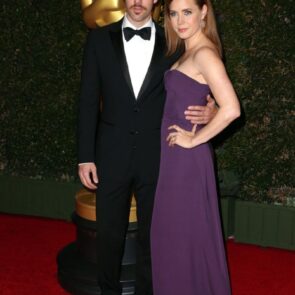 Amy Adams on Red Carpet - 2013 Governors Awards in Hollywood, photo 2