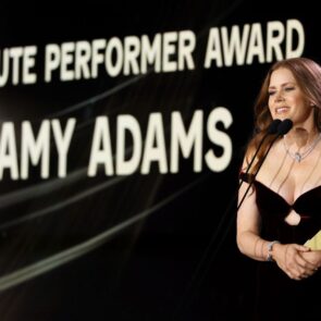 Amy Adams - Dazzles in Velvet and Diamonds at TIFF Tribute Awards, photo 3