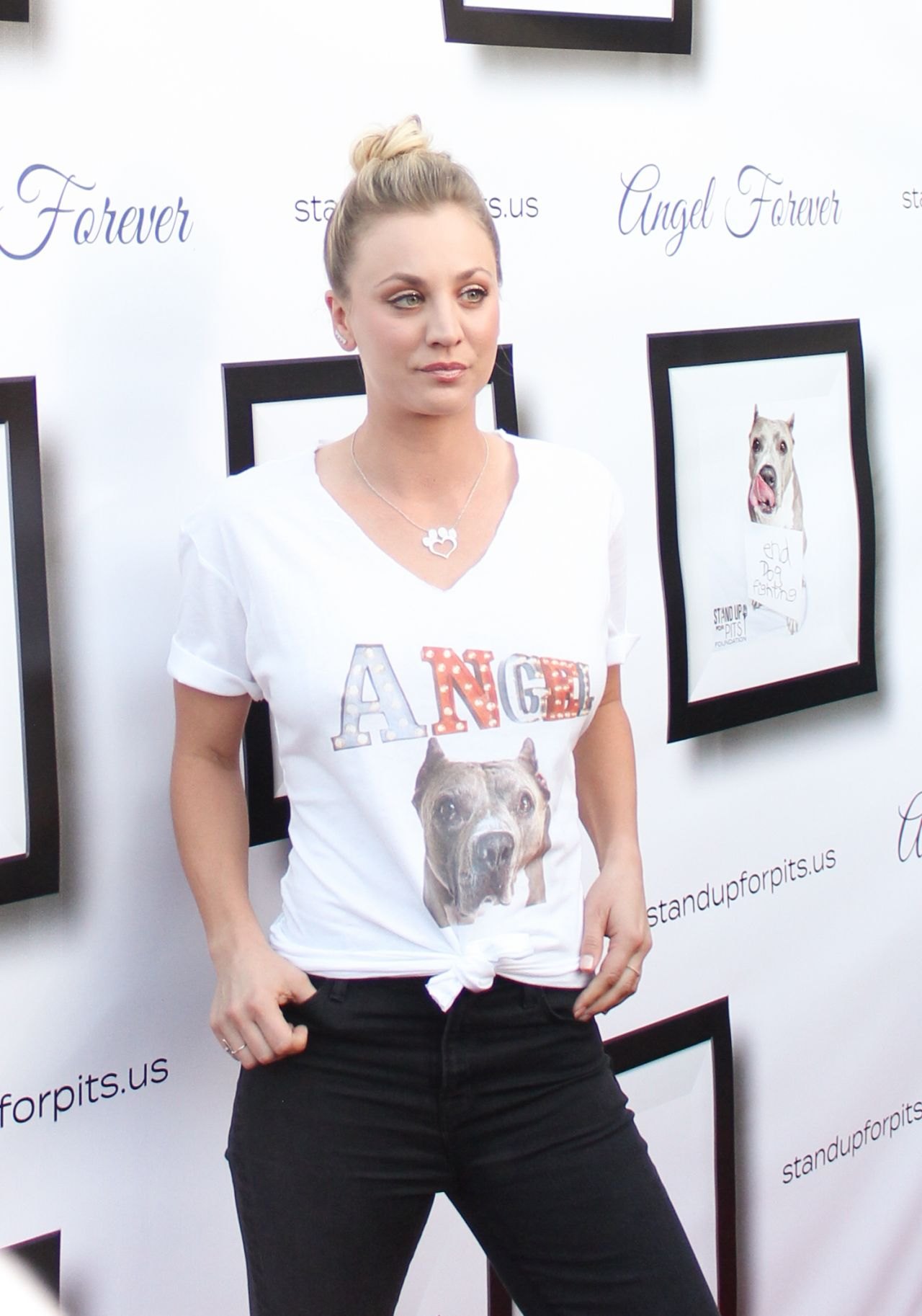 Kaley Cuoco - Stand Up For Pits Event in Los Angeles 11/5/ 2016, photo 2