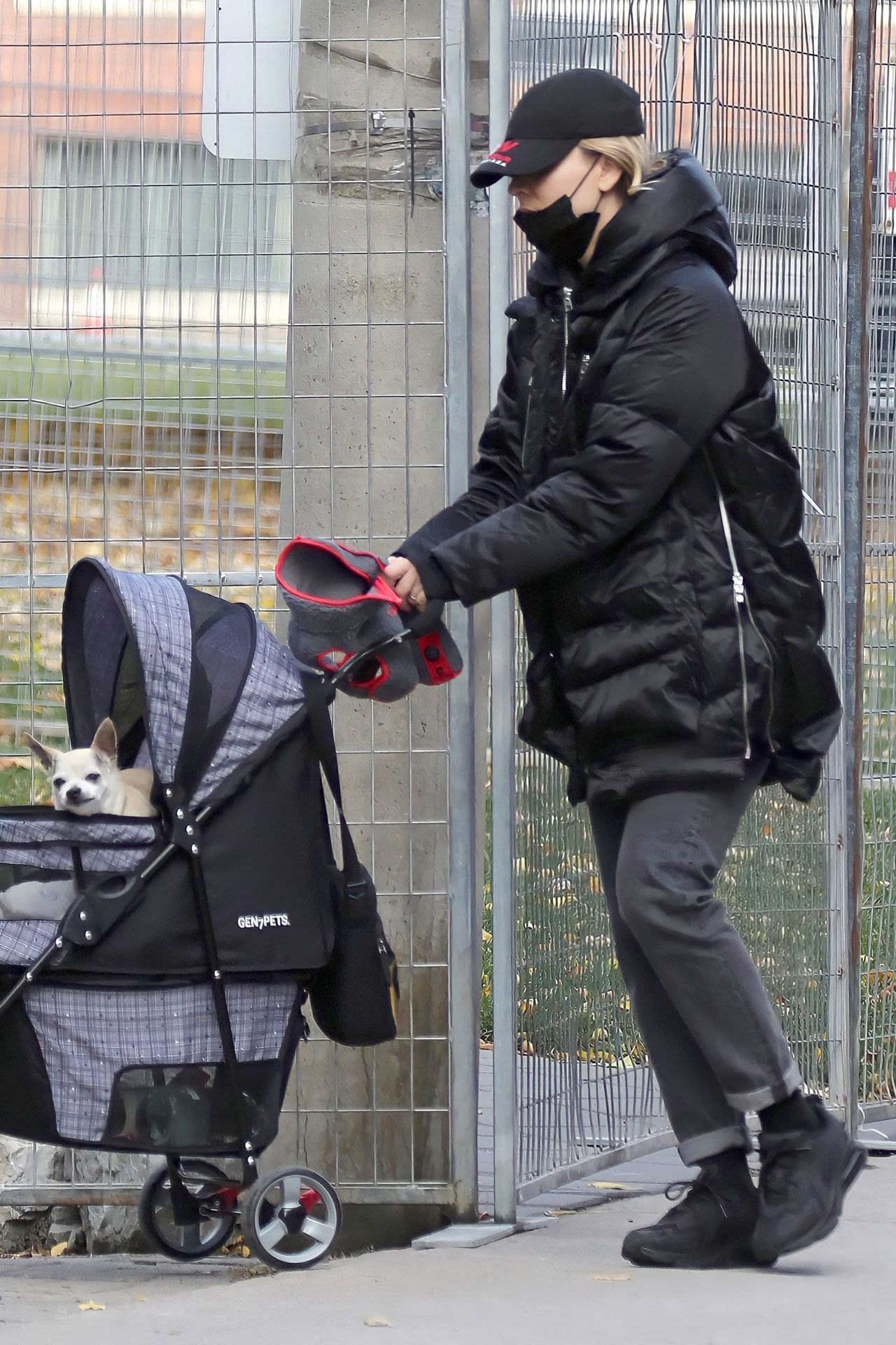 Kaley Cuoco Takes Her Dog Out For a Walk in Toronto 11/02/2020