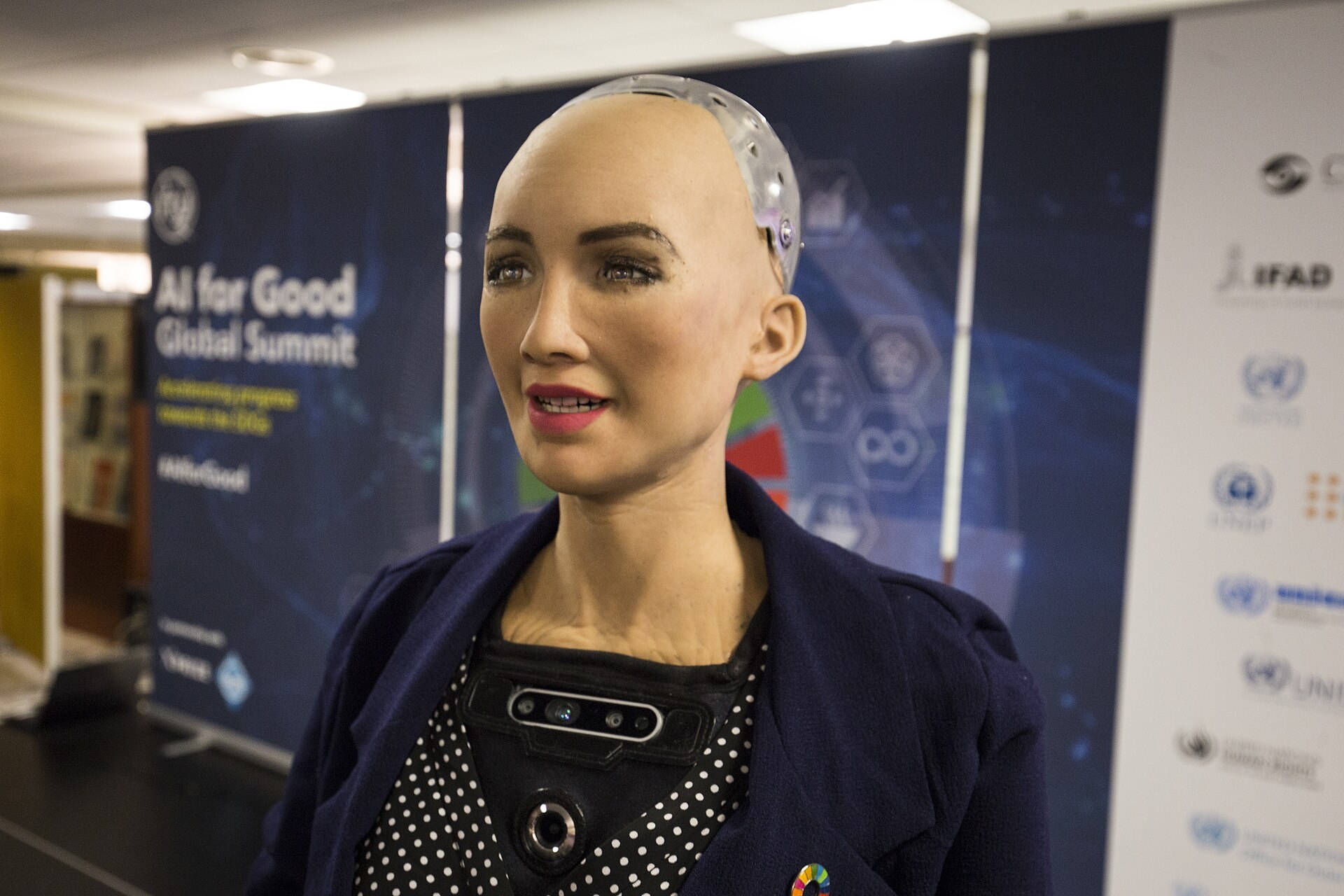 Sophia, the Hanson Robotics humanoid robot, at the AI for Good Global Summit 2018